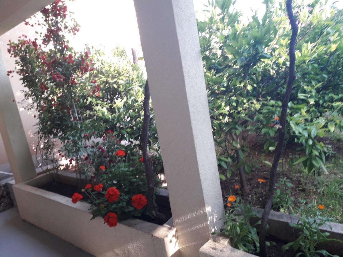 Apartments Petkovic Petrovac Exterior foto